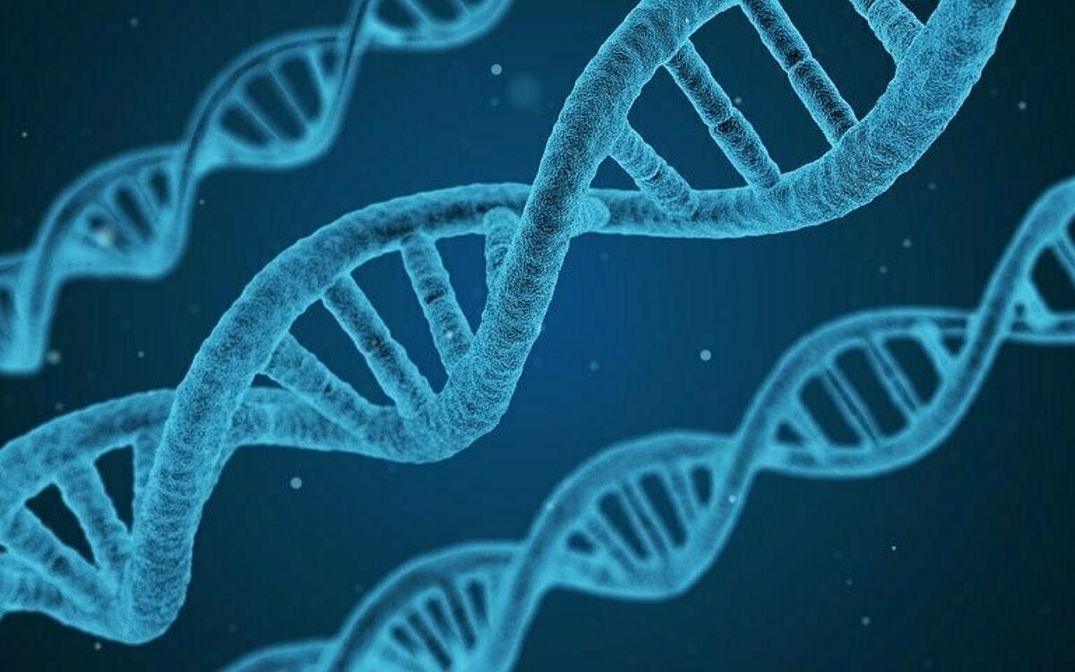 Dna 1811955 960 720 Dna 1811955 960 720